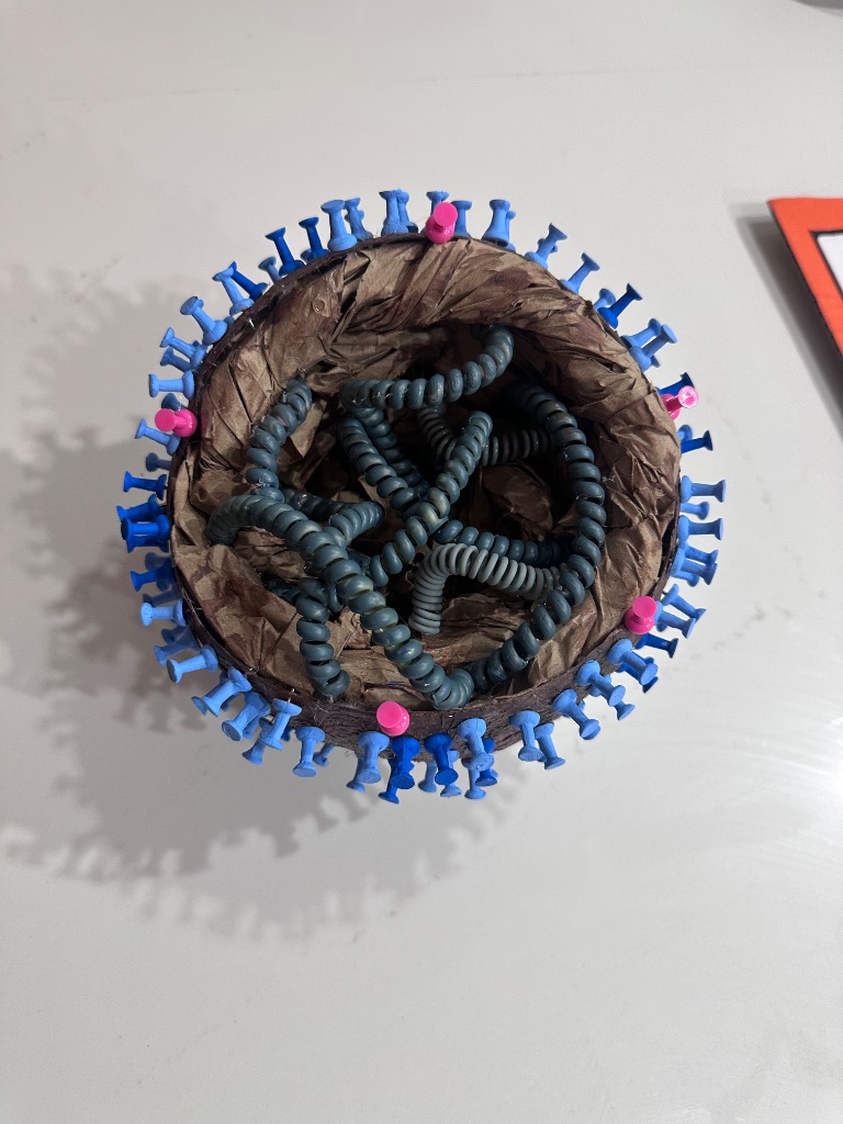 Influenza Virus 3D handmade model — top view